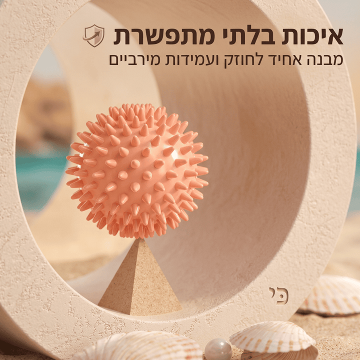 כדור עיסוי לכאבי שרירים